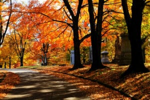 Walk through this gorgeous fall foliage and enjoy all the romantic things to do in Nashville this fall