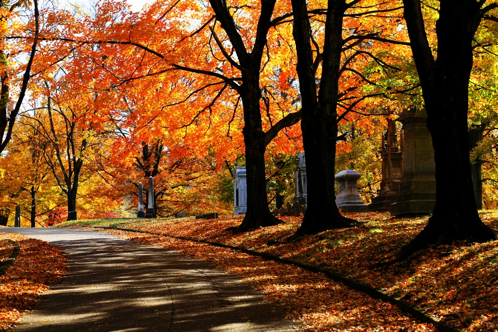 Fall in Tennessee is delightful! There are so many great things to do in Nashville, including staying at our historic bed and breakfast