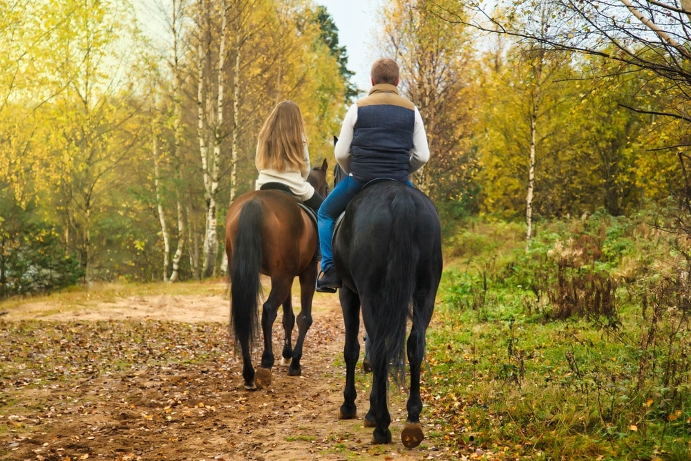 Nashville Horseback Riding experience with our bed and breakfast