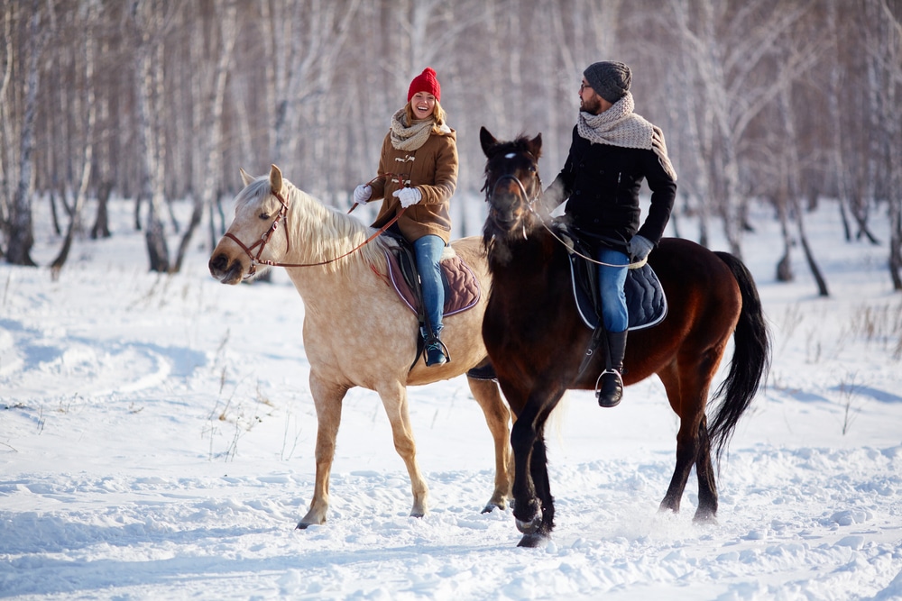 The Most Romantic Things to do in Nashville This Winter / Stay at the Best Bed and Breakfast in Nashville