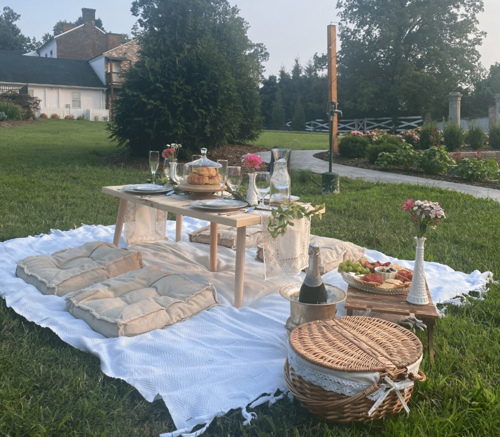 picnic-edit-e1714425851302.png