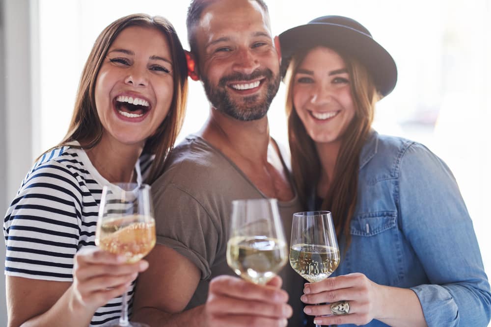 Three friends drinking wine at the Belle Mead Plantation and winery in Nashville